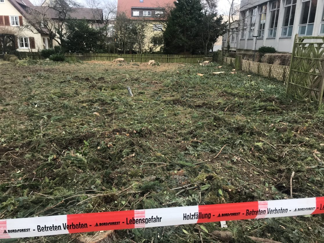 Baufeldrodung fertig gestellt