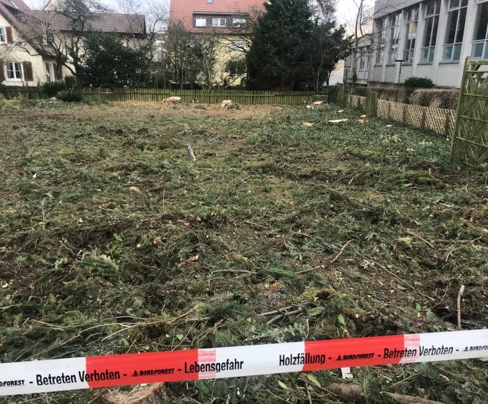 Baufeldrodung fertig gestellt