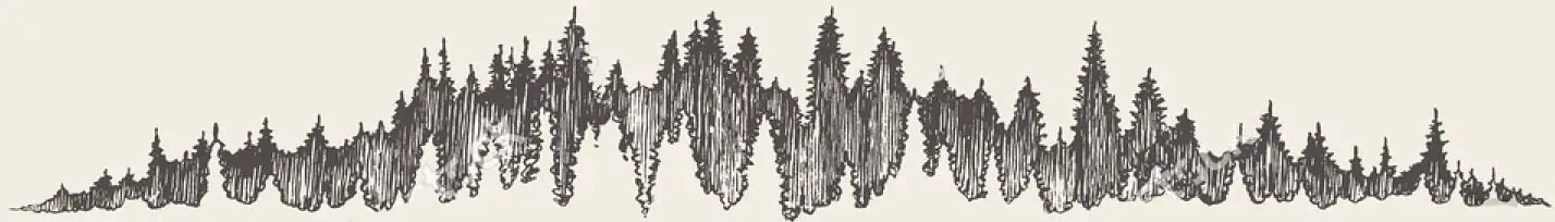 forest_bg forest bg